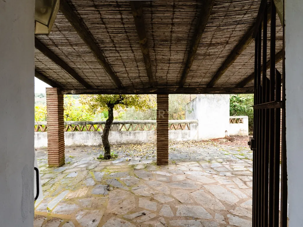 Monte típico 15ha Reguengos Monsaraz "Corval" 5 divisões, piscina e vinha - Image 29