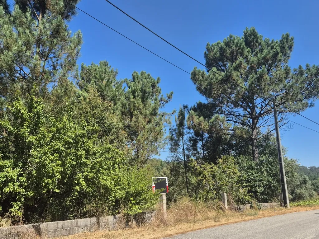 Terreno para Construção em Pombal, Leiria - Oportunidade Única! - Image 15