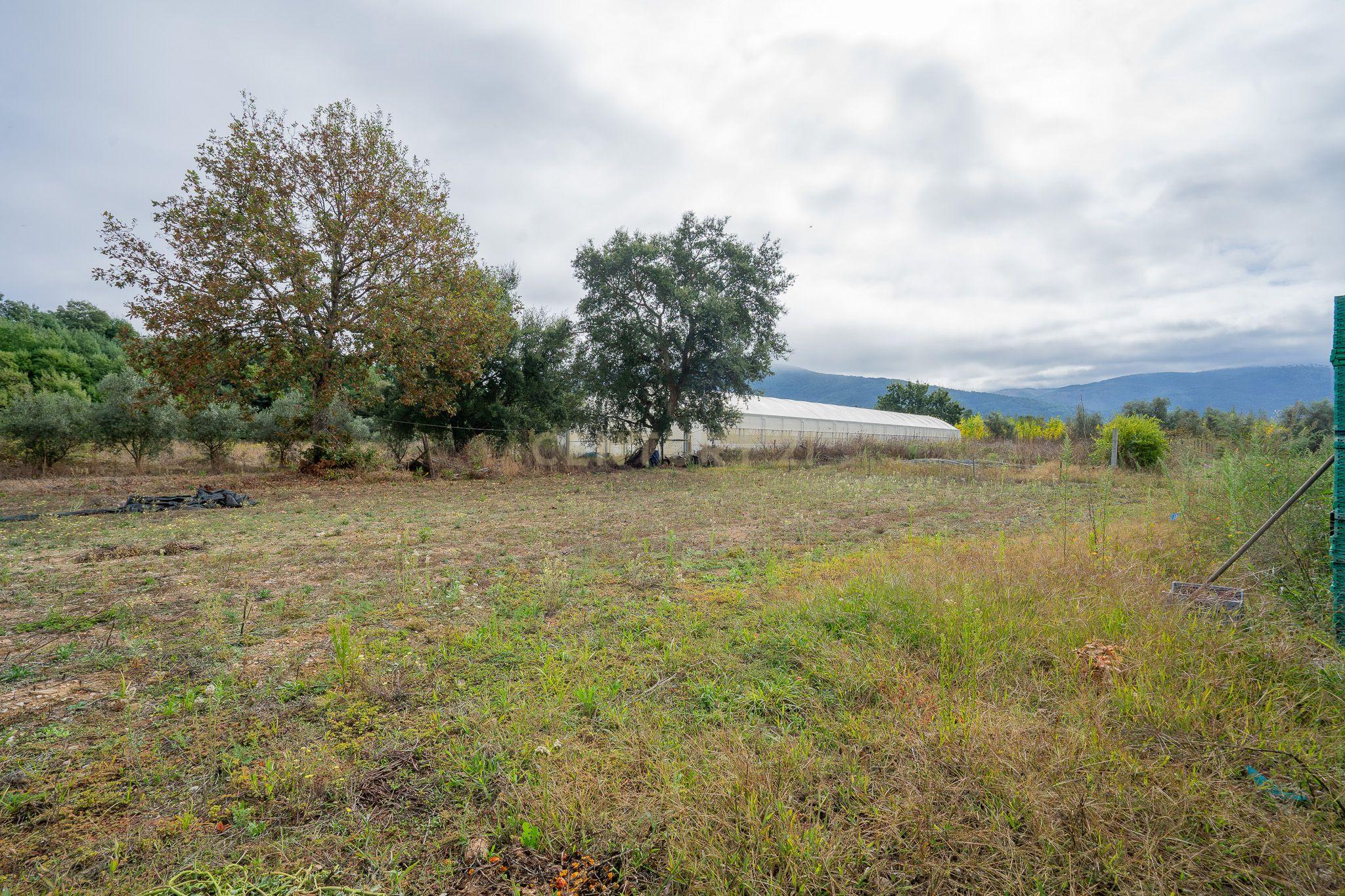 Moradia T4 - Lousã - Image 66