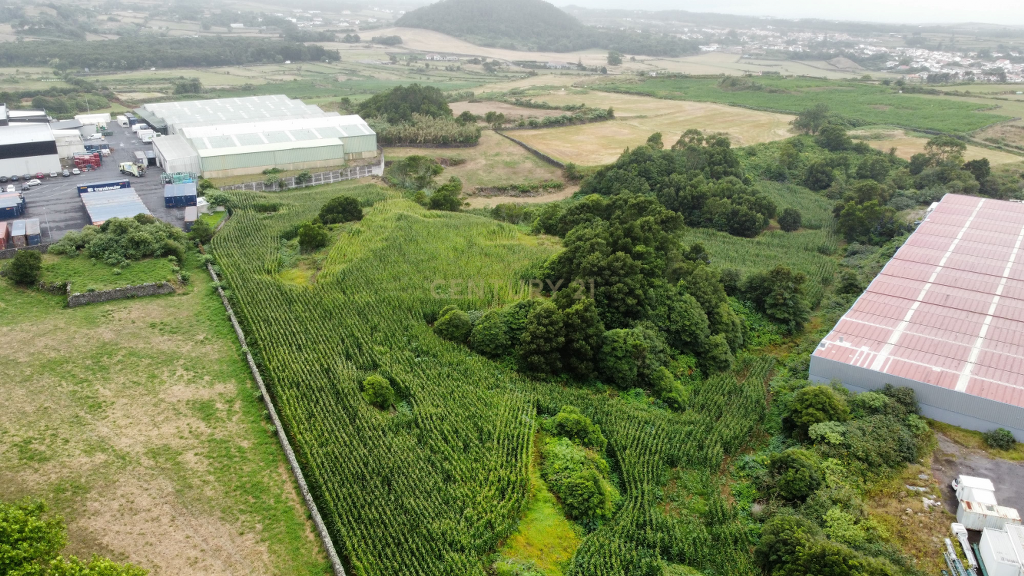 🏞️ Terreno com 26.800 m² nas Giestas – Ribeira Grande - Image 11