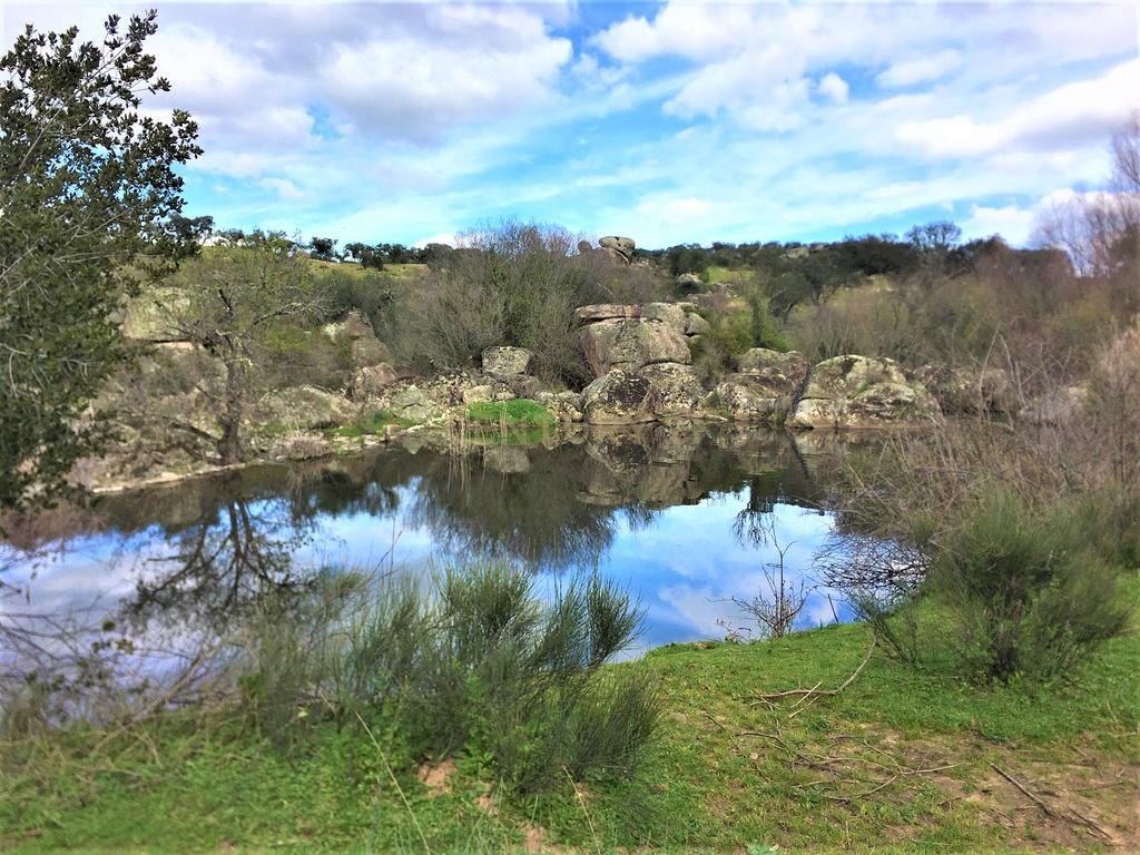 Quinta Típica Alentejana, Licença de Turismo Rural, Arrendamento, Arraiolos - Image 44