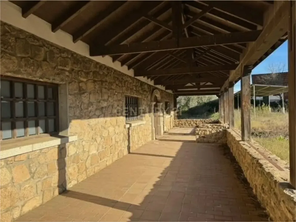 - Image 1