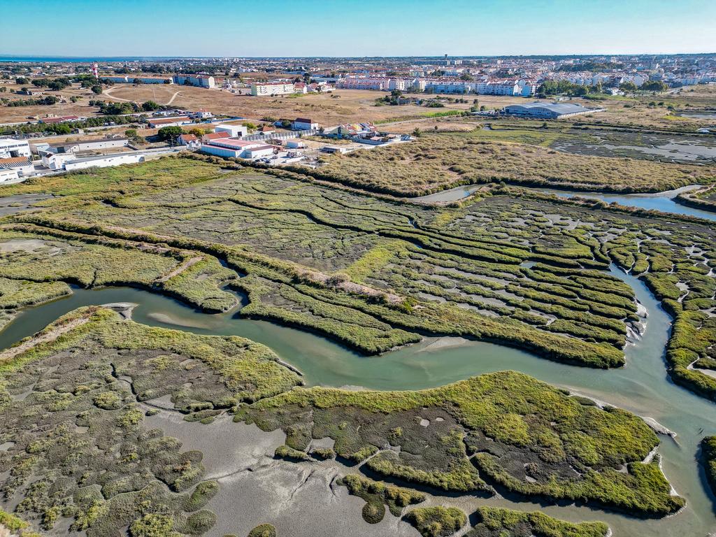 Terreno 20,18ha, Montijo - Seixalinho, para actividades de piscicultura e agricultura - Image 16
