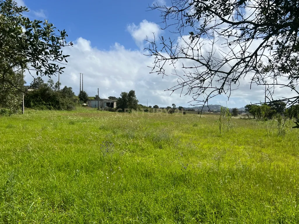 Terreno Industrial de 20.500 m² em Localização Estratégica - Image 6
