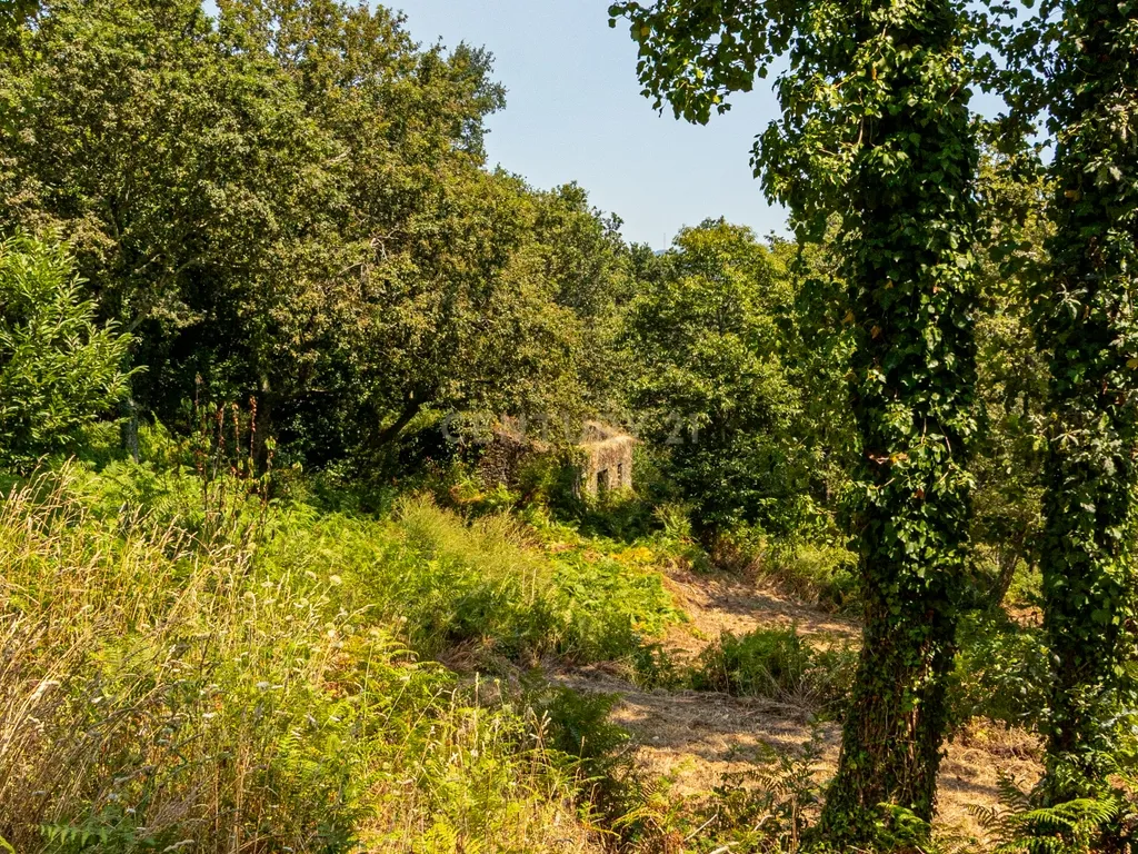 Quinta para reconstrução , em Anais, em Ponte de Lima – a vila mais antiga de Portugal. - Image 7