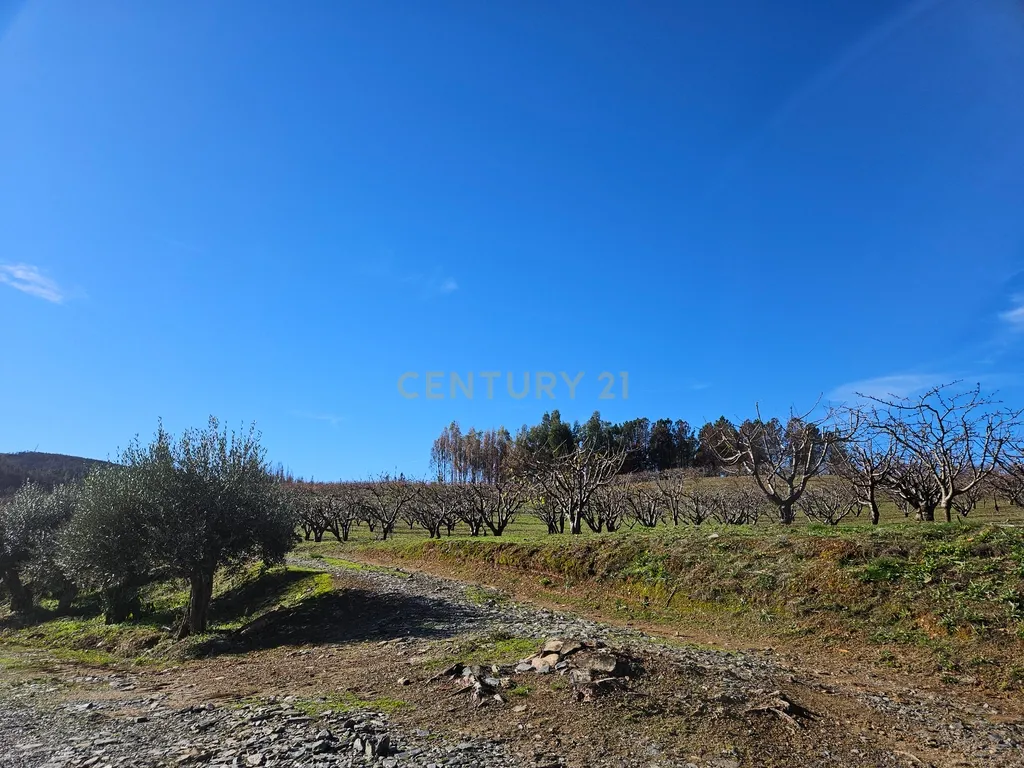 Quinta de Excelência Agrícola na Região Premium do Fundão: 32 ha de Alta Produtividade - Image 34