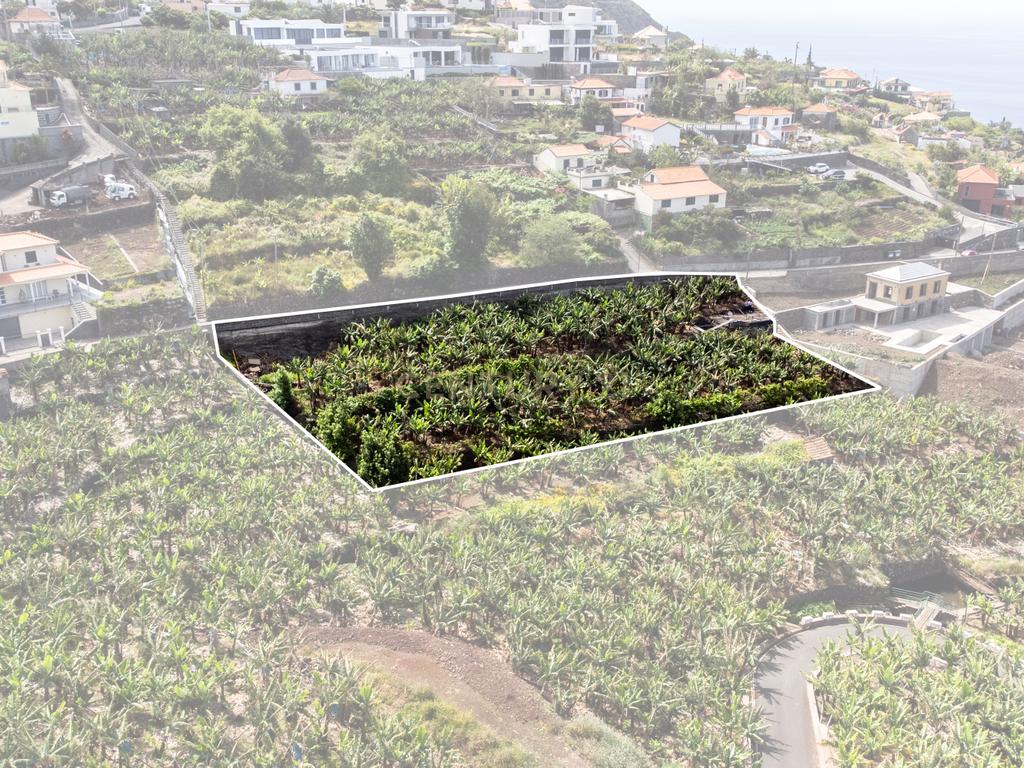 Terreno para construção 1946m2 - Arco da Calheta - Image 20