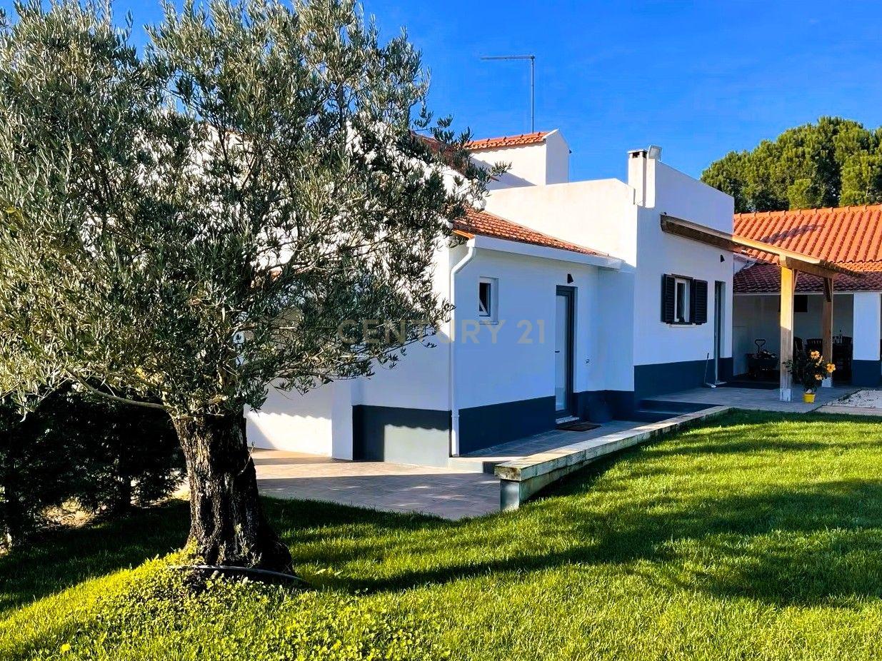 Fotografia 9 de Quinta da Francesa | Quinta com 42.400 m², 2 habitações, piscina, adega e total privacidade em Branca, Coruche