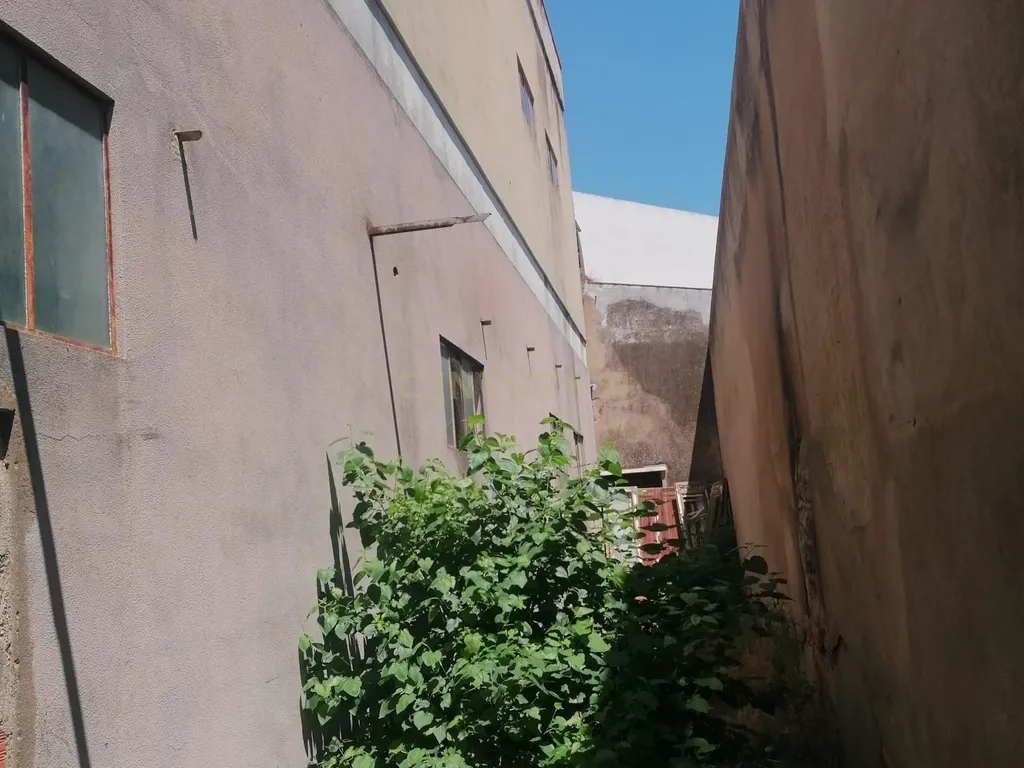 Armazém (565 m2 ) em pleno centro habitacional na Vidigueira para usar ou transformar! - Image 12