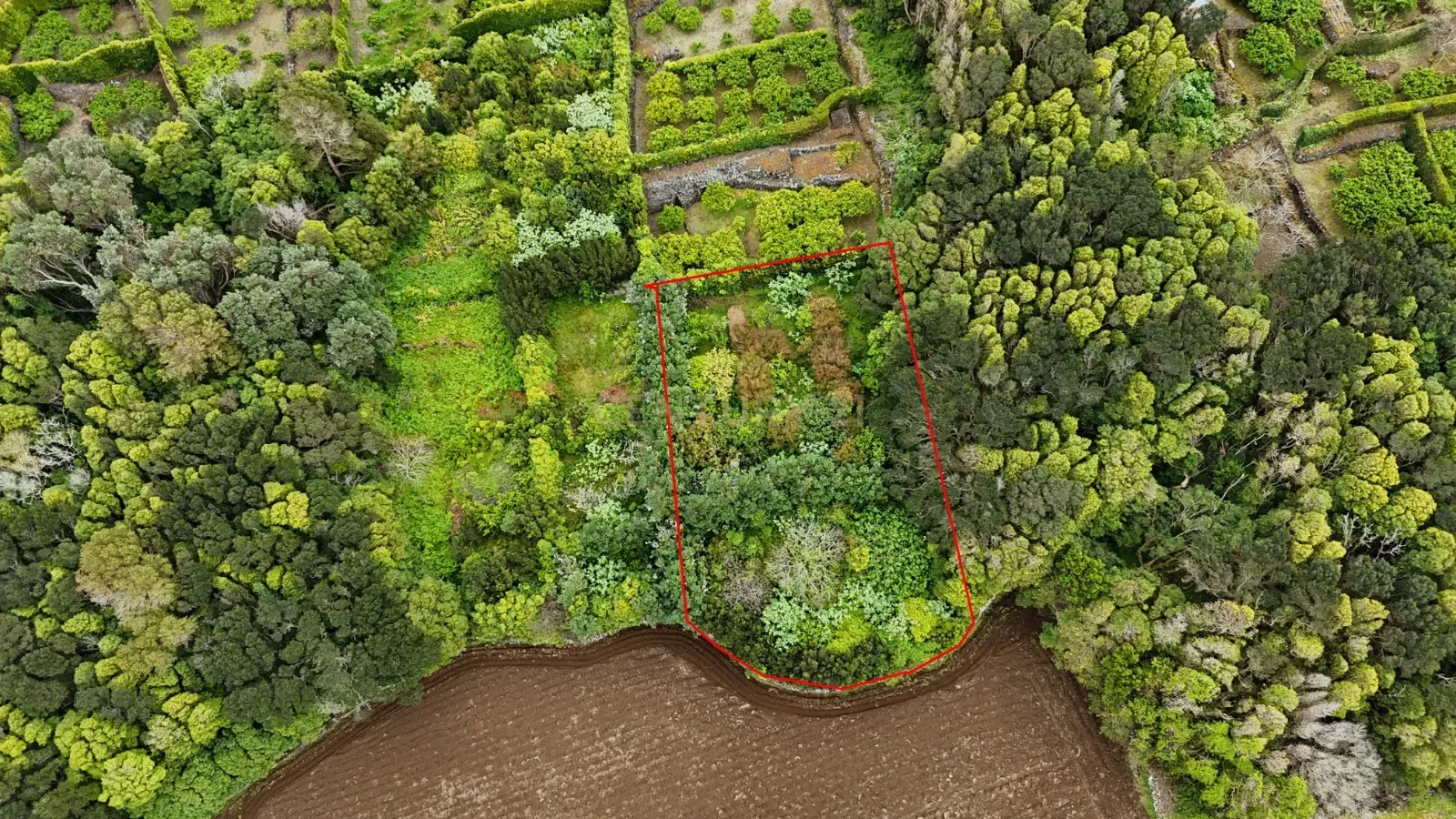 Fotografia 4 de Pomar localizado na zona dos Biscoitos, Ilha Terceira, com características ideais para utilização agrícola.