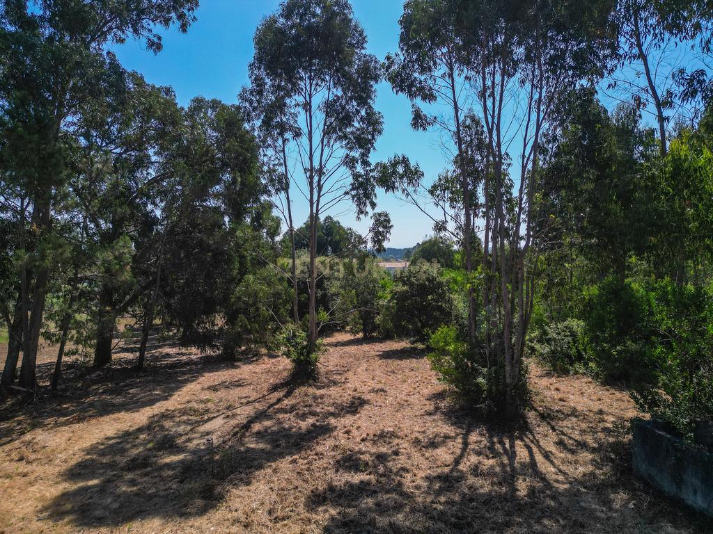 Terreno para investimento em Lavos, Figueira da Foz apenas a 5km da praia - Image 19