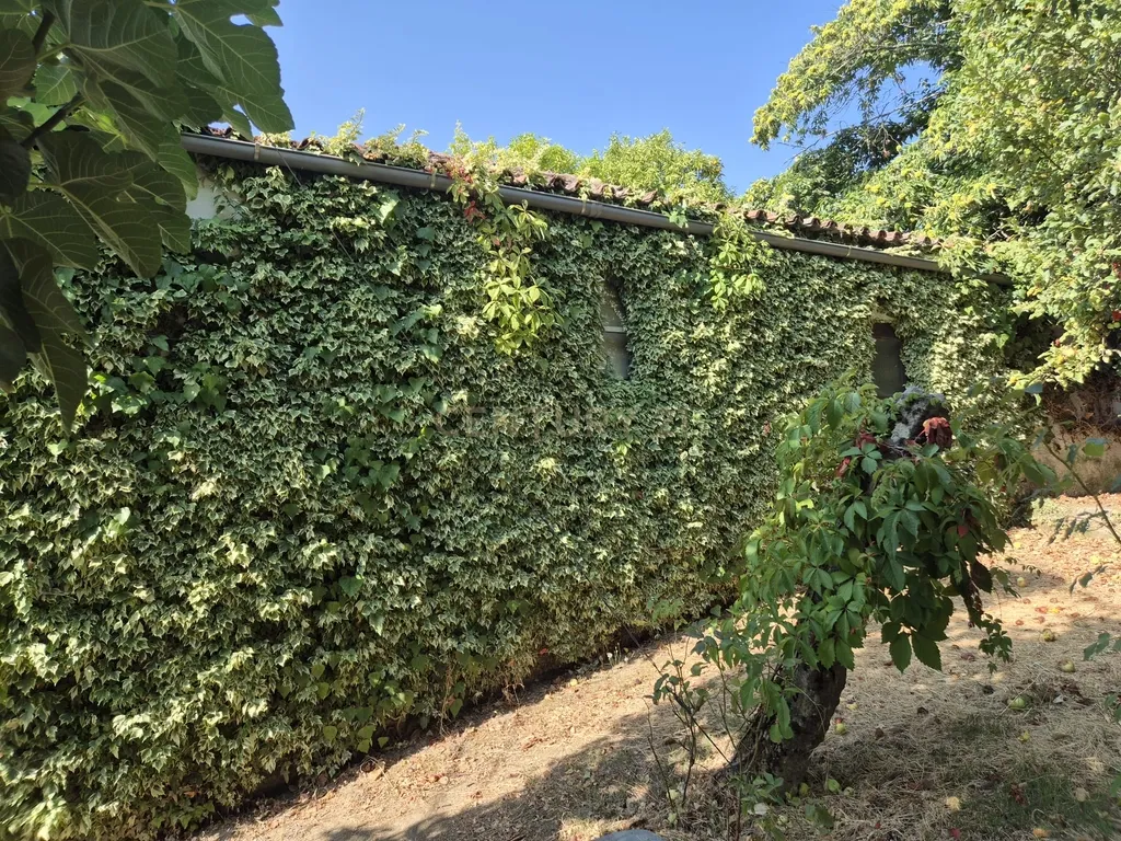 Casa para Recuperação em Ferreiros, Vila Real - Image 20