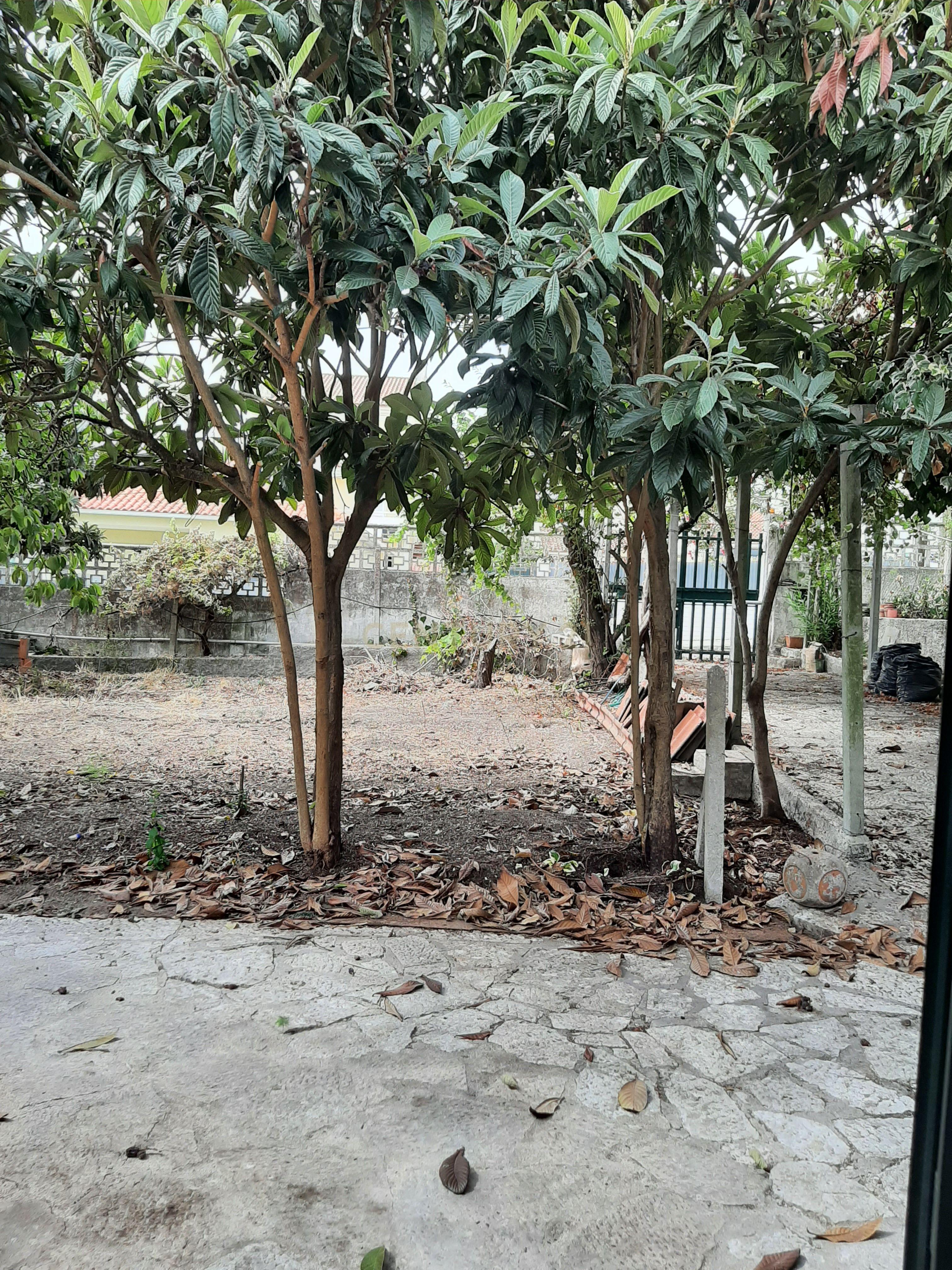 Moradia T1 à venda em Charneca de Caparica e Sobreda, Almada — foto 20