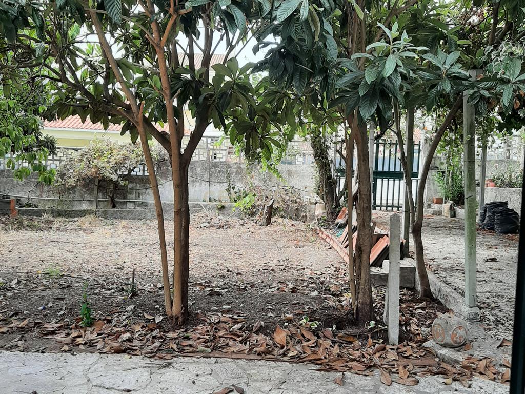 **Moradia térrea para remodelar nas Quintinhas – Charneca da Caparica | Terreno com 290 m²** - Image 17