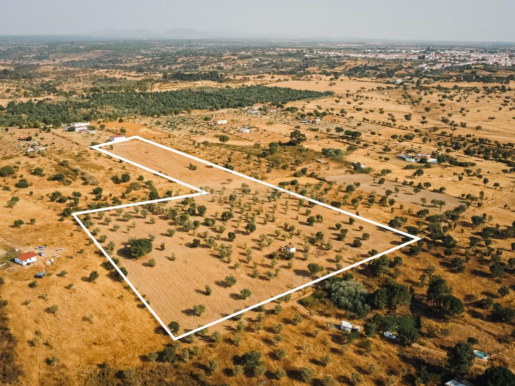 Propriedade rústica com potencial agrícola, habitacional e turístico – 3,12 hectares – Nisa - Image 2