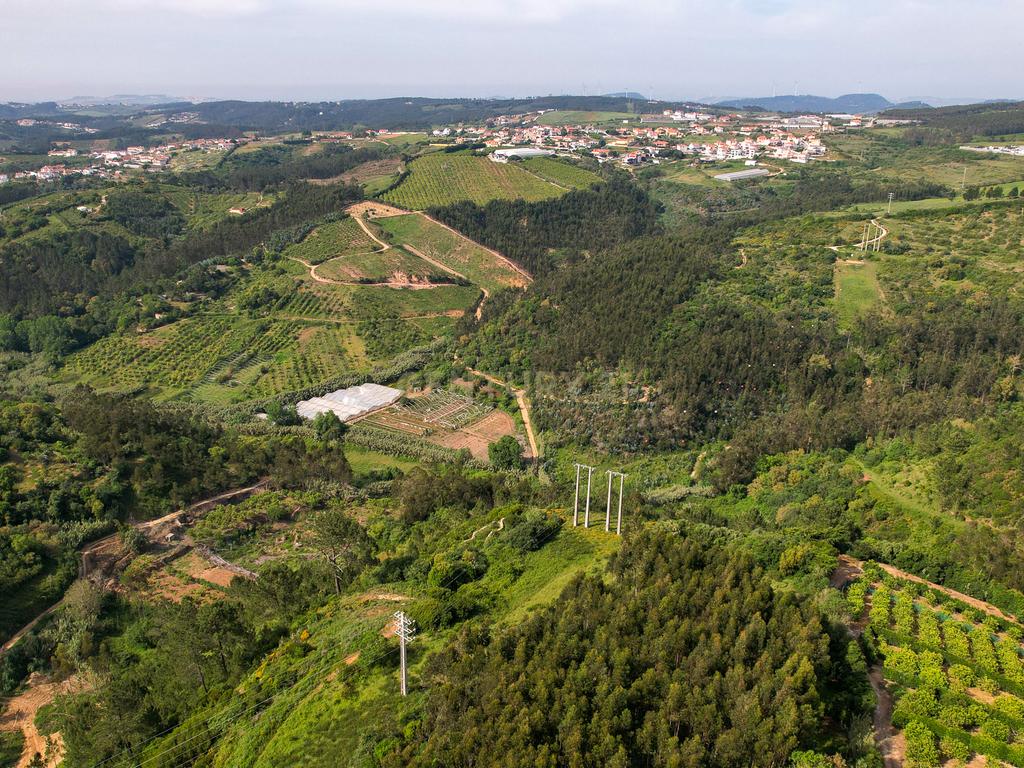 Terreno Rústico com mais de 1.5 Hectares em Mafra – Vista Linda e Perto da Ericeira! - Image 3
