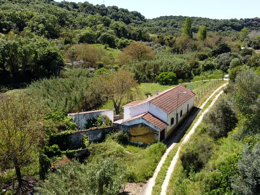 Bela Casa de Campo em Santarém  - Image 1