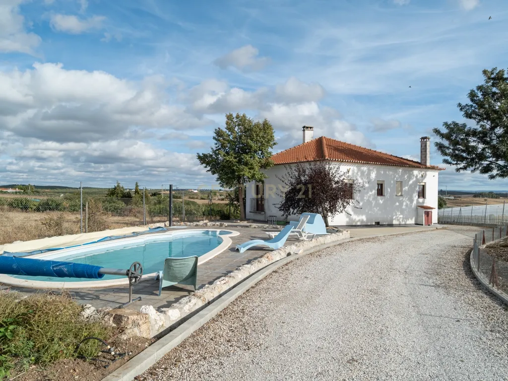 🌿 Quinta com Moradia T4 e Piscina | 3,25 hectares| Olival | Vinha| Amareleja, Alentejo - Image 4
