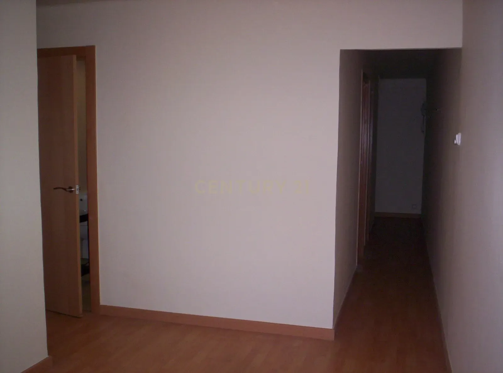 - Image 7