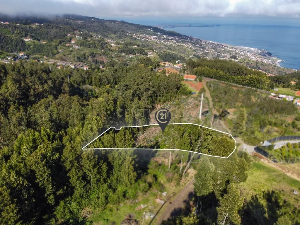 Terreno com Vista Mar e Viabilidade de Construção para Habitação Própria em Gaula - Image 13