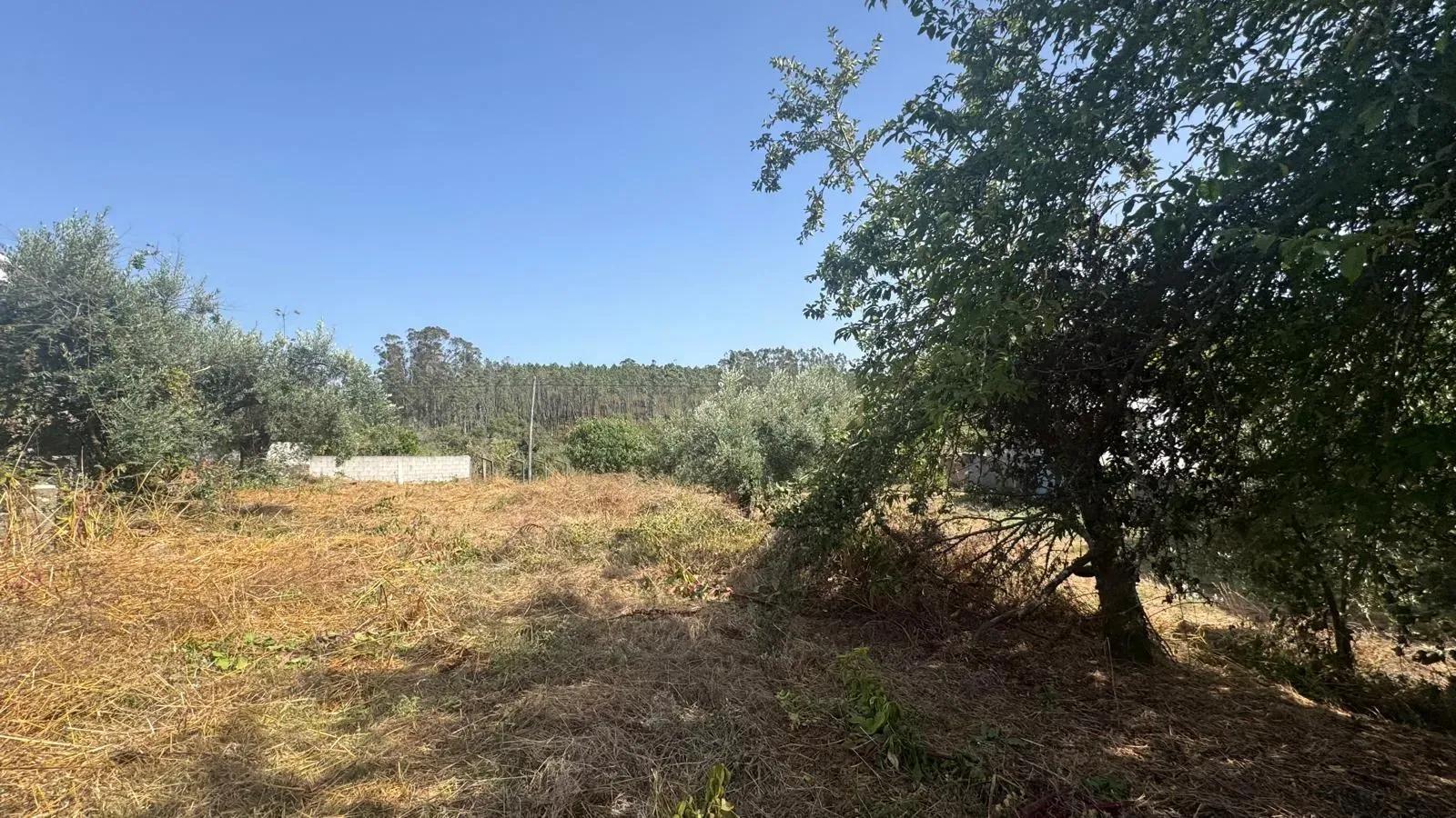 Moradia T2 à venda em Vila Cã, Pombal — foto 12