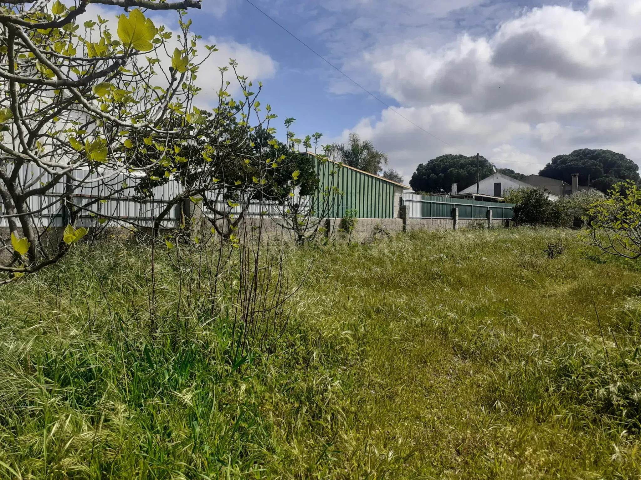 Terreno para Construção – Na Freguesia de Santo Isidro de Pegões | 629 m² - Vista 2