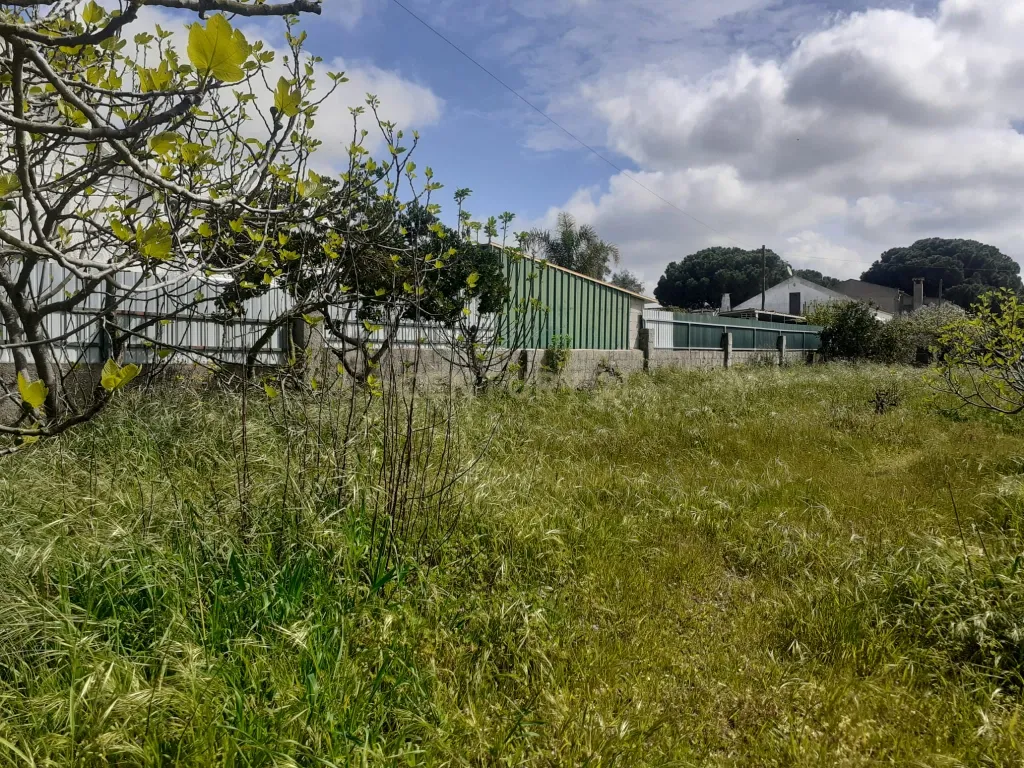 Terreno para Construção – Na Freguesia de Santo Isidro de Pegões | 629 m² - Image 2