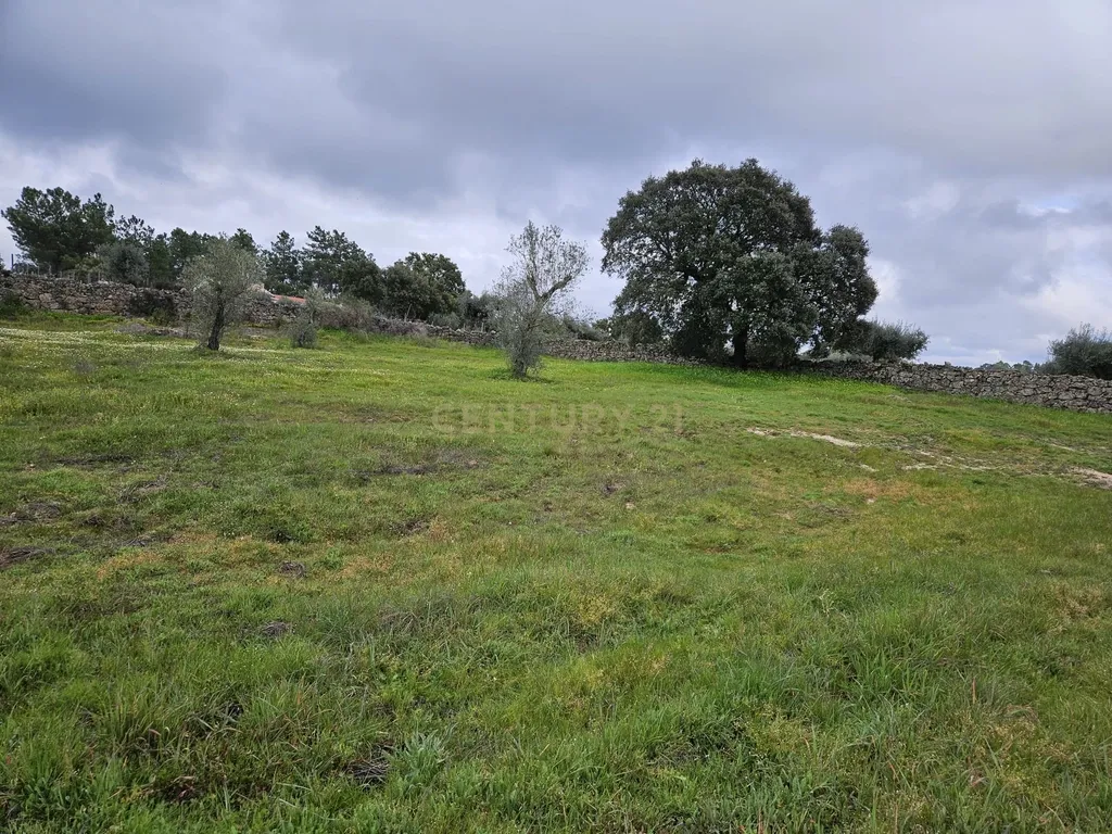 Quintinha na Lousa, Castelo Branco - Image 26