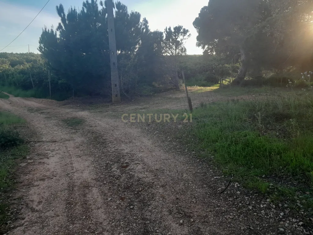 Terreno Zona Calma - Image 18