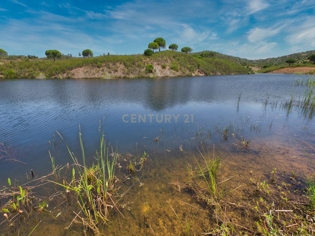 Herdade de 271 Hectares no Barlavento Algarvio, com moradia + 4 estudios, piscina, 9 barragens, 3 estufas. - Image 34