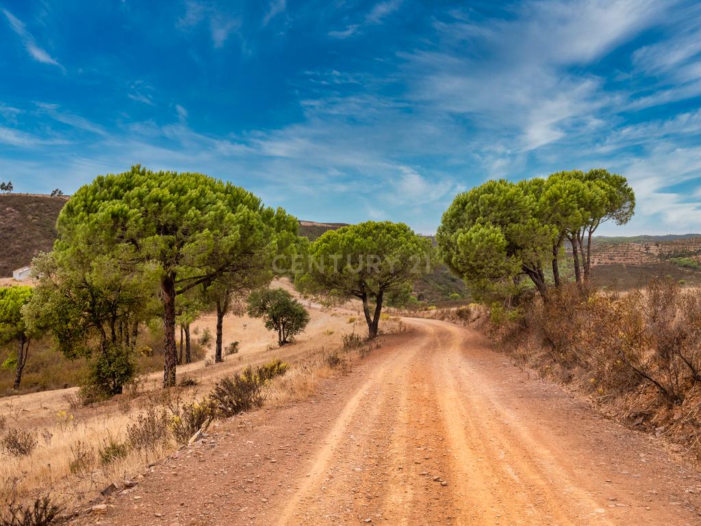 Herdade de 271 Hectares no Barlavento Algarvio, com moradia + 4 estudios, piscina, 9 barragens, 3 estufas. - Image 37