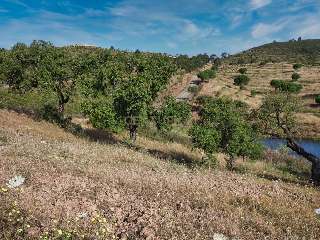 Herdade de 271 Hectares no Barlavento Algarvio, com moradia + 4 estudios, piscina, 9 barragens, 3 estufas. - Image 60