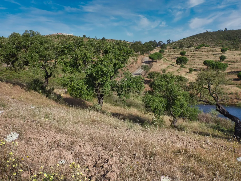 Herdade de 271 Hectares no Barlavento Algarvio, com moradia + 4 estudios, piscina, 9 barragens, 3 estufas. - Image 60