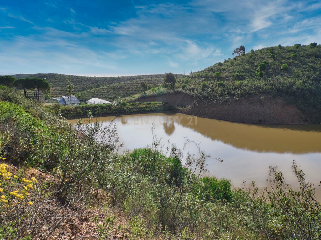Herdade de 271 Hectares no Barlavento Algarvio, com moradia + 4 estudios, piscina, 9 barragens, 3 estufas. - Image 48