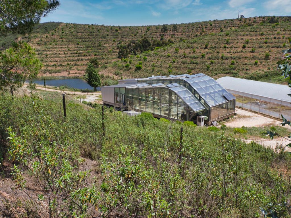 Herdade de 271 Hectares no Barlavento Algarvio, com moradia + 4 estudios, piscina, 9 barragens, 3 estufas. - Image 50