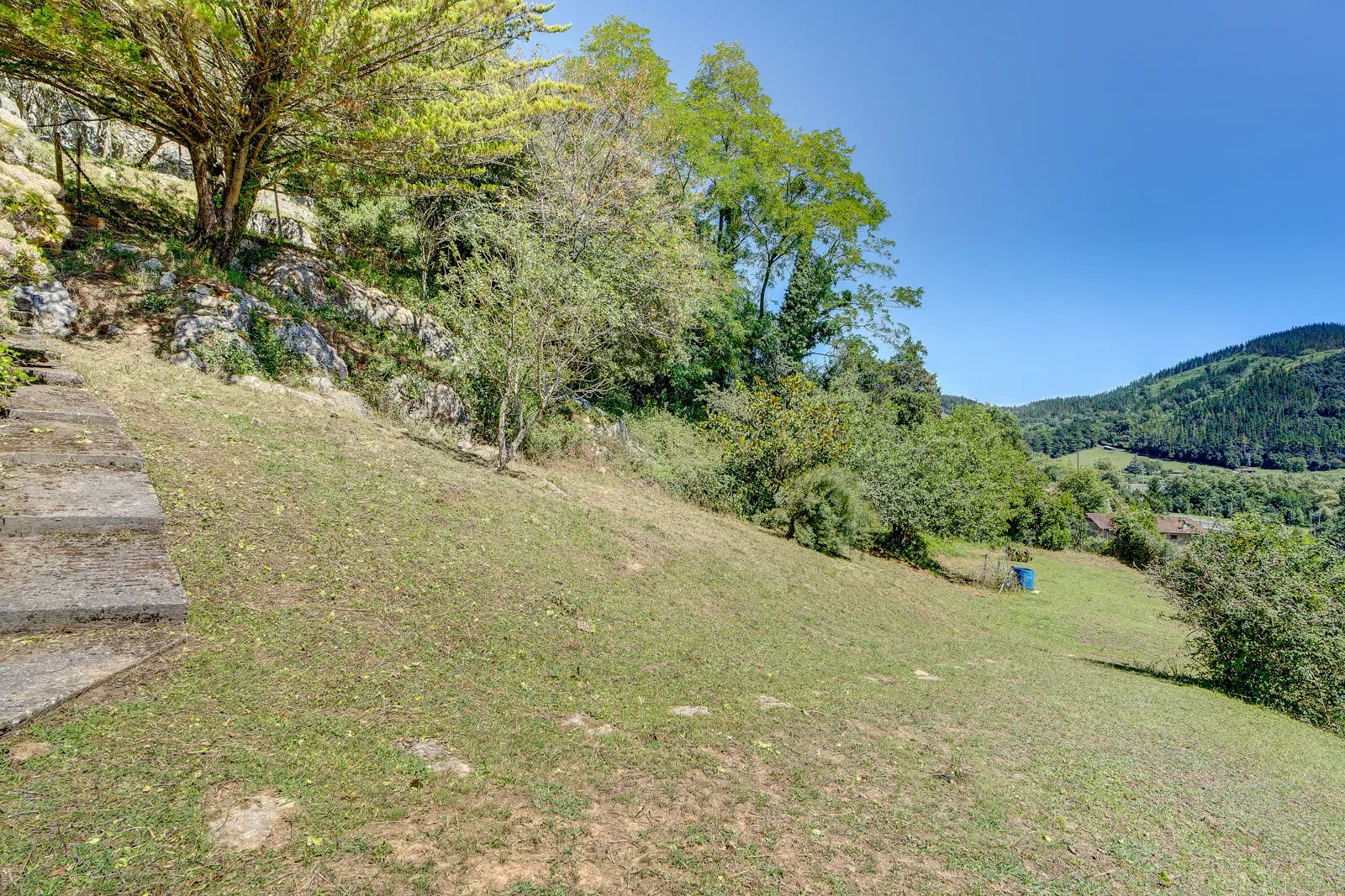 undefined - Image 6