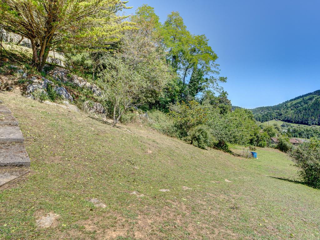 undefined - Image 6