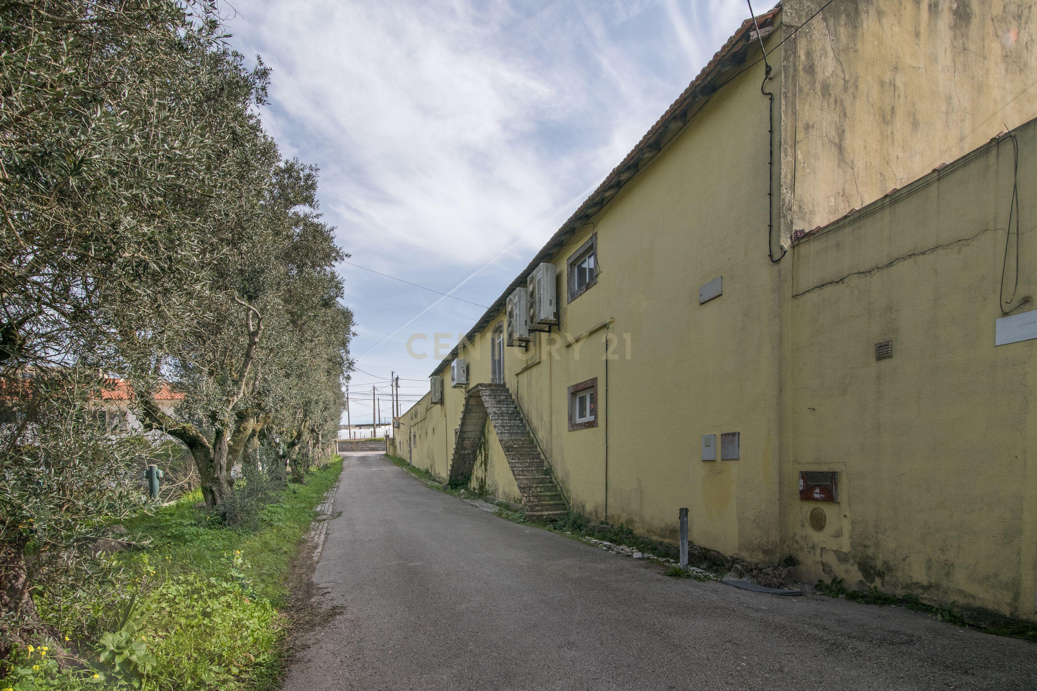 Quinta do Bretão – Um Paraíso no Campo às Portas da Cidade - Image 19