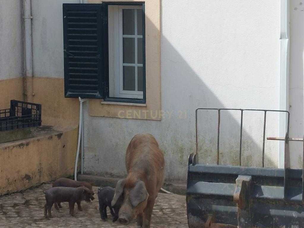 HERDADE DE LUXO MOBILADA A 40 MINUTOS DE LISBOA - Image 37