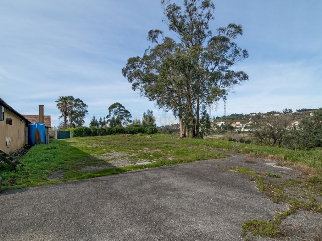 Quinta do Bretão – Um Paraíso no Campo às Portas da Cidade - Image 12