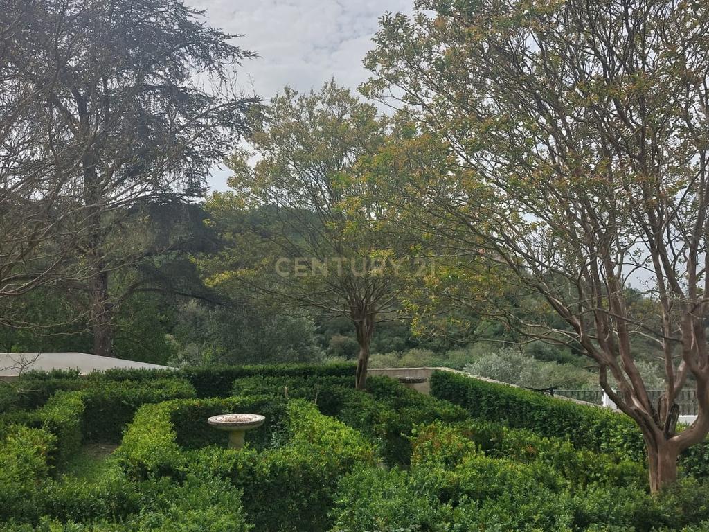 HERDADE DE LUXO MOBILADA A 40 MINUTOS DE LISBOA - Image 38