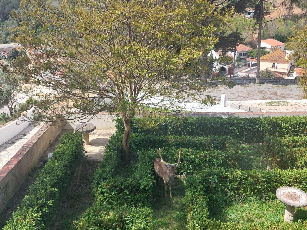 HERDADE DE LUXO MOBILADA A 40 MINUTOS DE LISBOA - Image 34