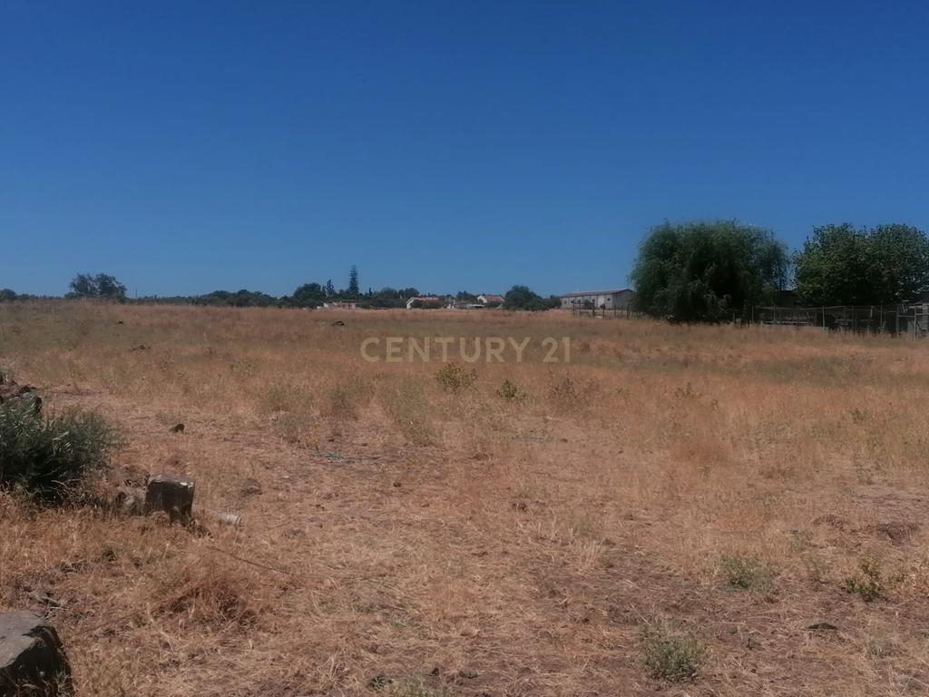 Beja, 2040,150 m2 de Armazéns Diversos instalados em 7190,690 m2 de terrenos Urbanos e ainda 2,5 hectares de terrenos Rústicos - Image 11