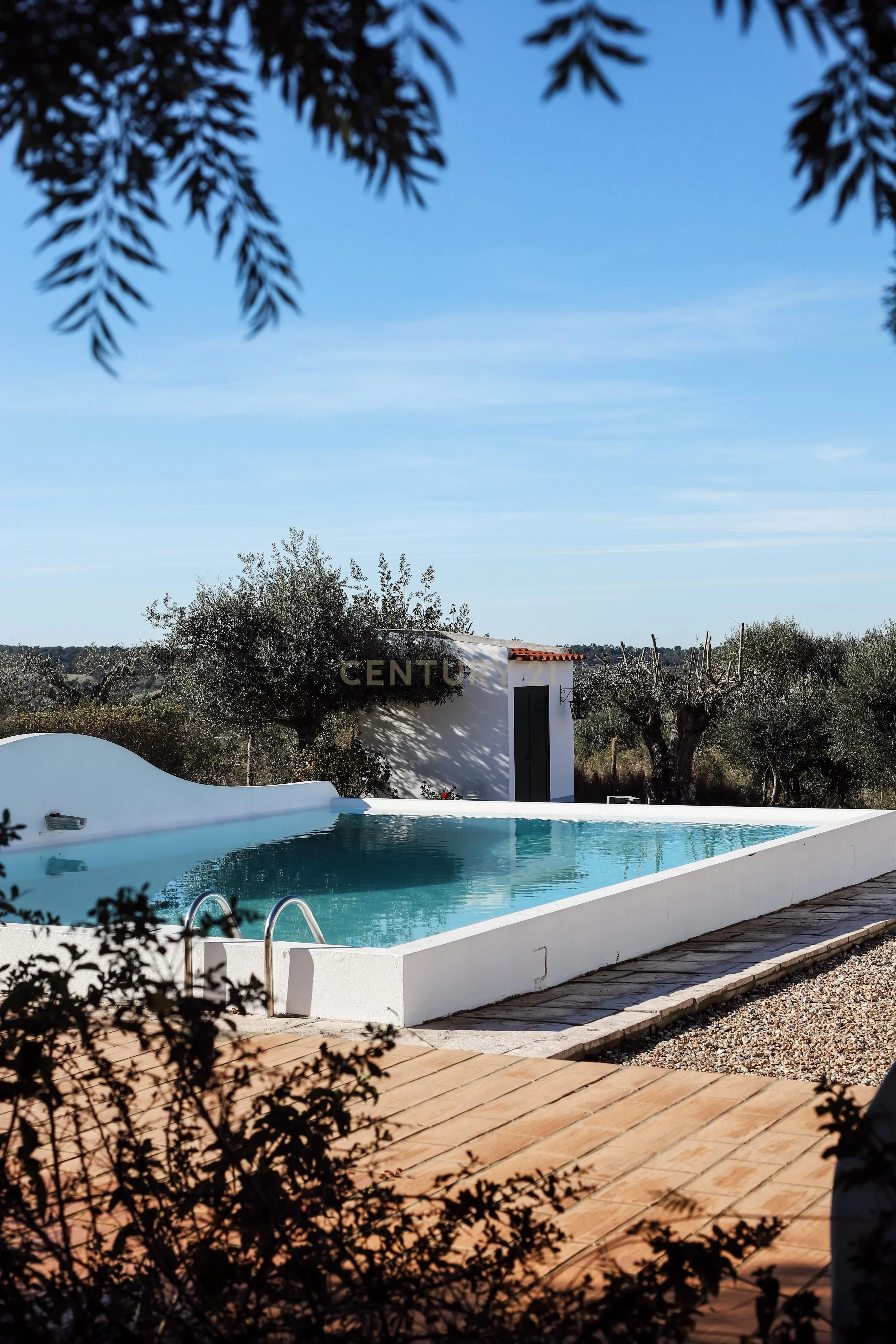 Excelente Quinta com Moradia T4 e piscina em Brotas, Mora- Évora - Image 3