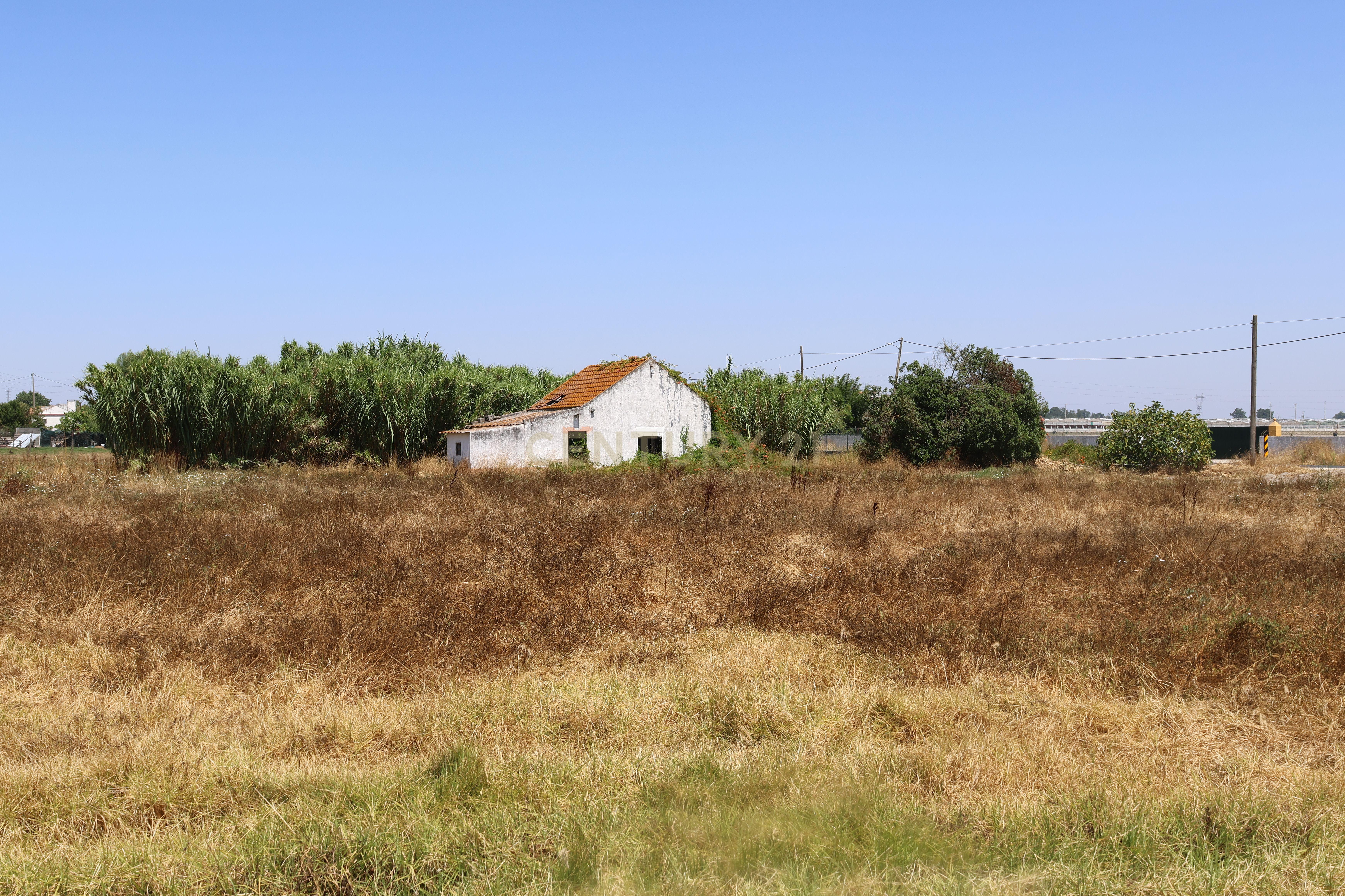 Fotografia 4 de Terreno com casa para recuperação