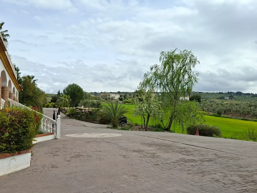 ✨ Moradia Exclusiva em Arriate – Piscina, Vistas e Alta Rentabilidade Turística 📍Ariate, Serrania de Ronda | 📐 Terreno de 5.600 m² - Image 83