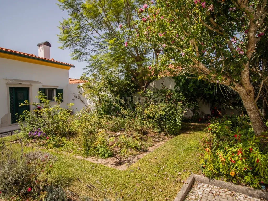 Moradia térrea T3+T0 com piscina, garagem e terreno com 2.257 m², no Ervedal, em Quiaios - Image 3