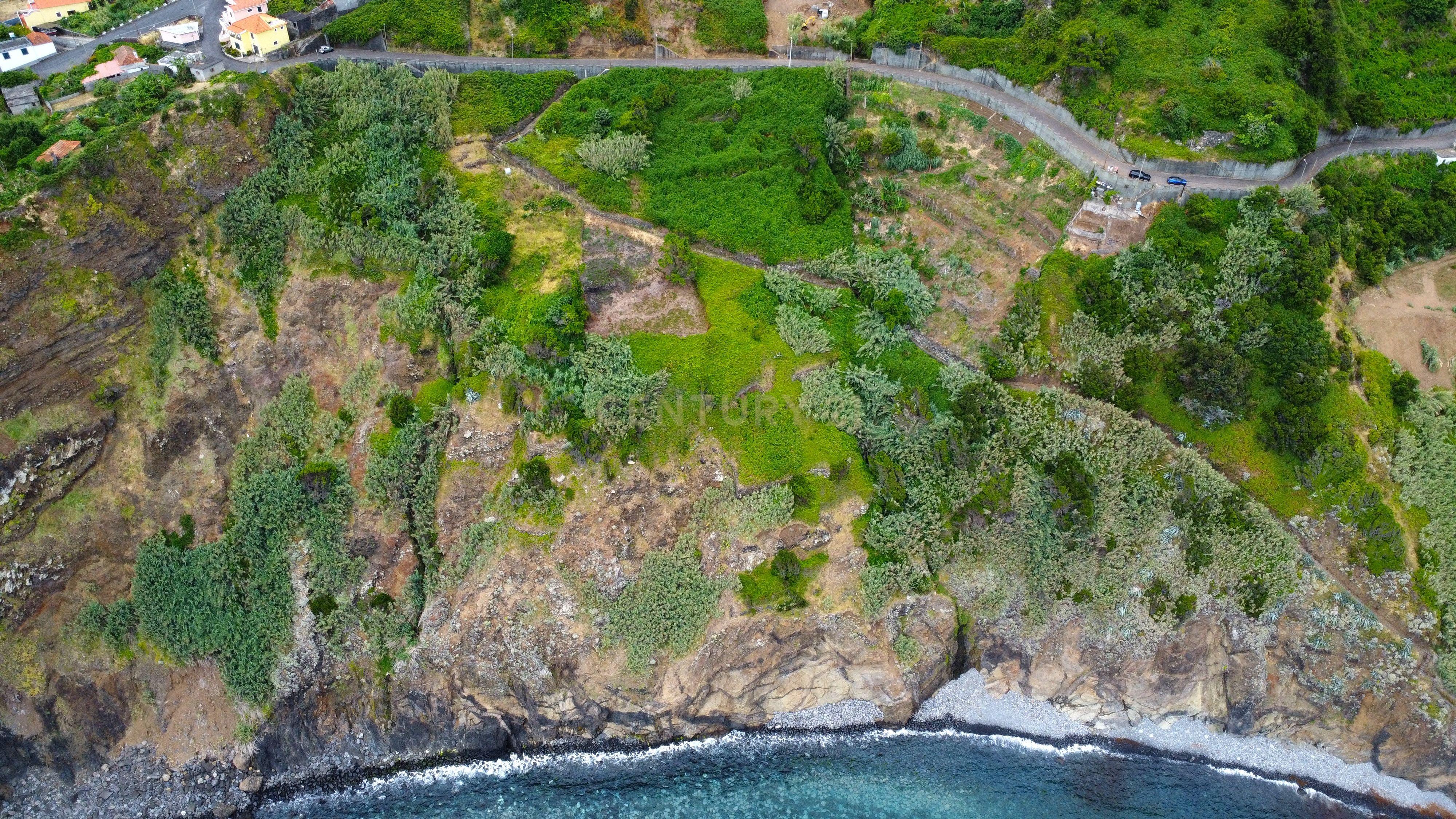 Fotografia 7 de Terreno Faial - Ilha da Madeira