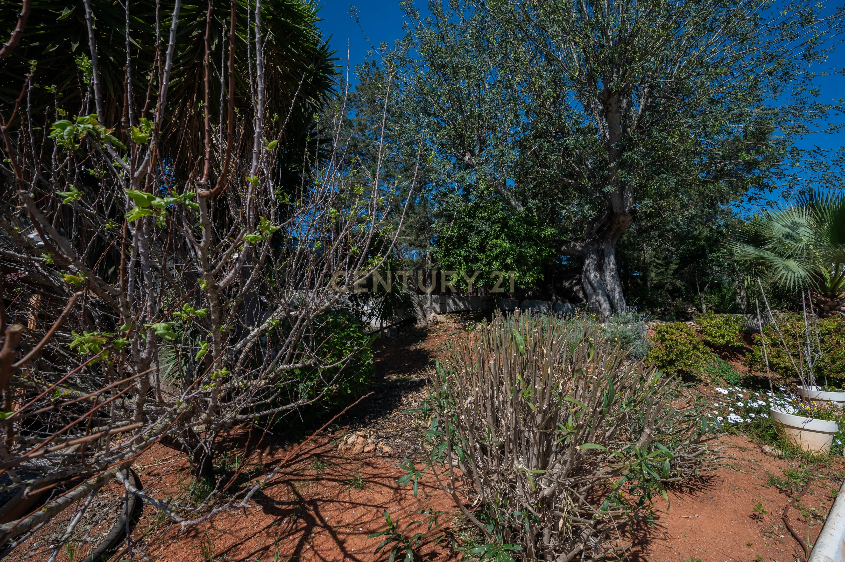 Moradia para reformar em Santa Eulália com piscina e vista panorâmica. Ótima oportunidade para investidores. - Image 29