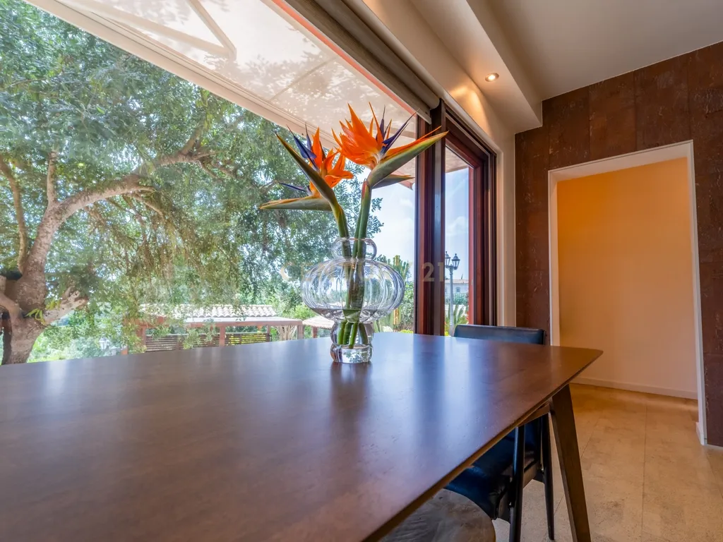 Propriedade com três habitações, piscina aquecida e sauna, num terreno de 10.000 m² - Image 46